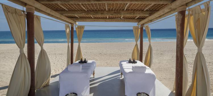 萨巴尼亚岛奥沙希安纳塔拉别墅度假酒店(Anantara Sir Bani Yas Island Al Sahel Villas)图片