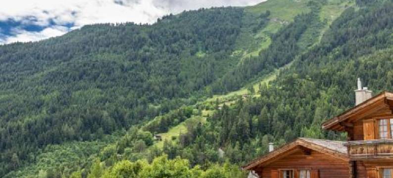 维克斯瓦莱酒店(Le Vieux Valais)图片