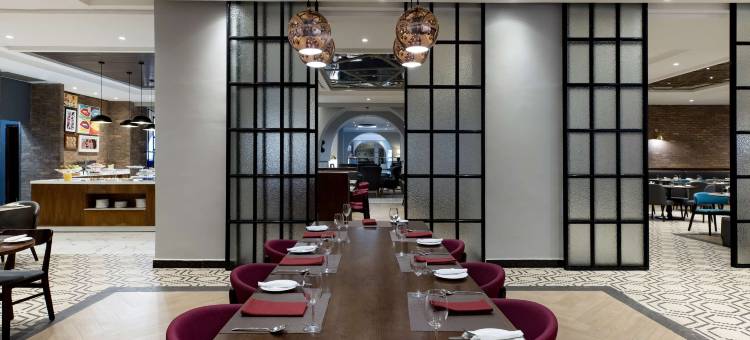 拉各斯伊凯贾丽筠酒店(Radisson Hotel, Lagos Ikeja)图片