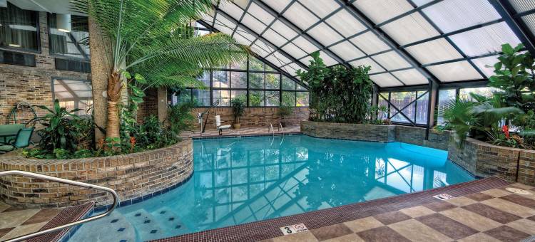 孟菲斯逸林酒店(DoubleTree by Hilton Memphis)图片