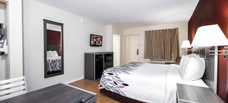 红顶酒店休斯顿北-FM1960&I-45(Red Roof Inn Houston North - FM 1960 & I-45)图片