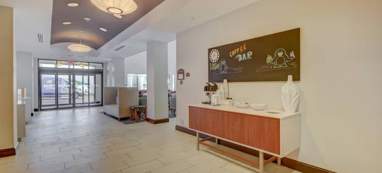 坦帕USF布希花园智选假日酒店及套房(Holiday Inn Express & Suites Tampa -USF-Busch Gardens)图片