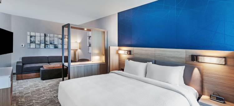 SpringHill Suites 酒店由万豪 Marriort 奥斯汀西部/湖泊(SpringHill Suites Austin West/Lakeway)图片