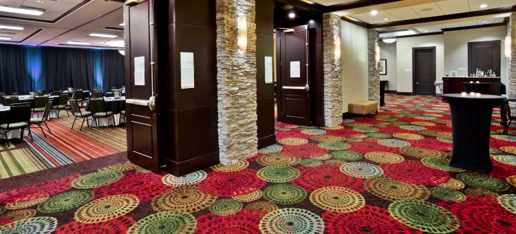 Holiday Inn & Suites 芝加哥西北 - 埃尔金(Holiday Inn & Suites Chicago Northwest - Elgin)图片