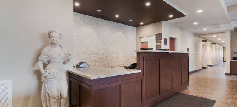 舒适套房酒店(Comfort Inn & Suites)图片