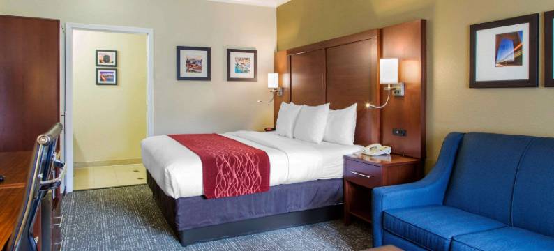 旧金山机场北舒适套房酒店(Comfort Inn & Suites San Francisco Airport North)图片