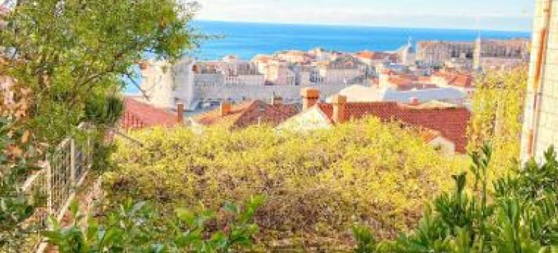 蓝拉谷纳旅馆(Blue Lagune)图片