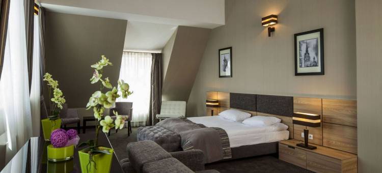 精品埃尔布隆格焦点酒店(Focus Hotel Premium Elbląg)图片