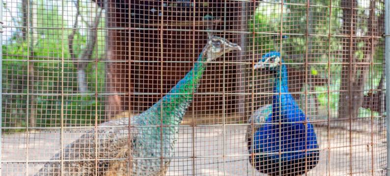 大斌斌的民宿(黄海三路分店)图片