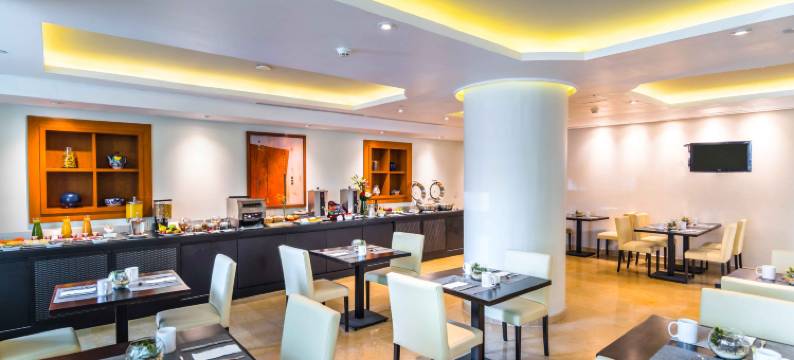 欧洲之星酒店(Eurostars Zona Rosa Suites)图片