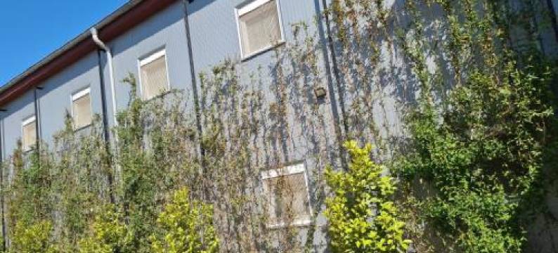 Garni Hotel & Spa Nicolo图片