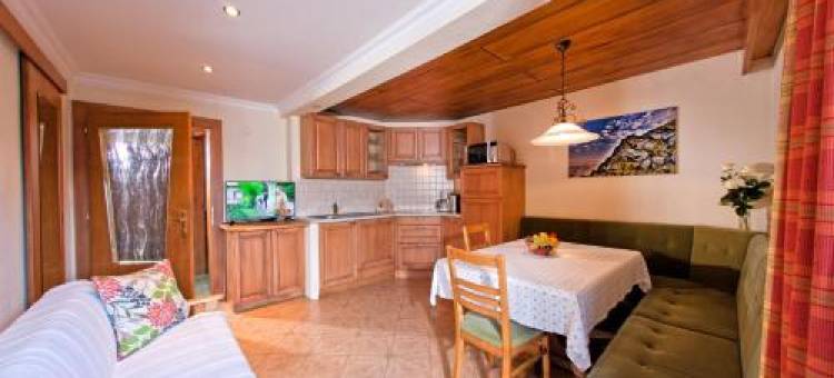 查莱讷木屋酒店(Chalet Tschallener)图片