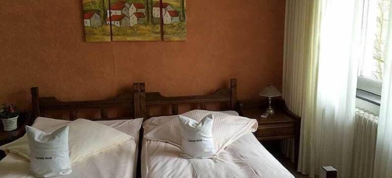 图图尼亚酒店(Teutonia Hotel)图片