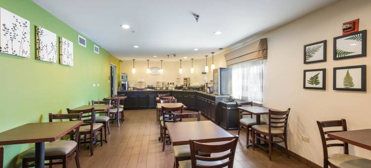 舒眠酒店内珀维尔 - 芝加哥(Sleep Inn Naperville - Chicago)图片