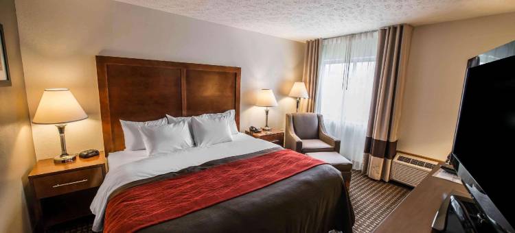 阿特金斯马里恩I-81舒适酒店(Comfort Inn Atkins-Marion I-81)图片