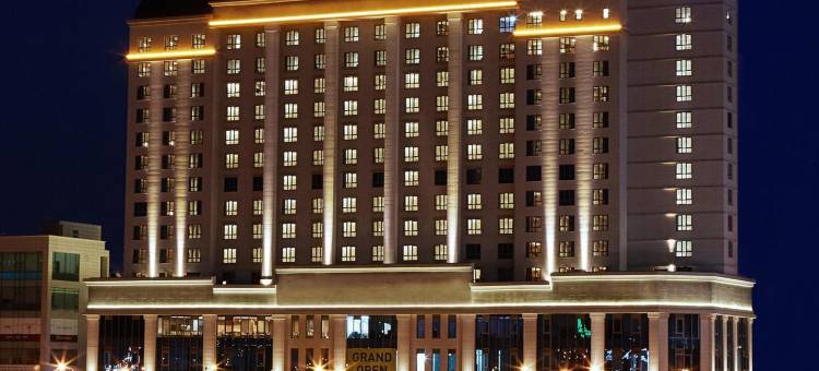 世宗城五松酒店(Sejong City Osong Hotel)图片