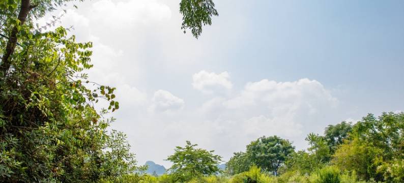 荔浦沁园居民宿图片