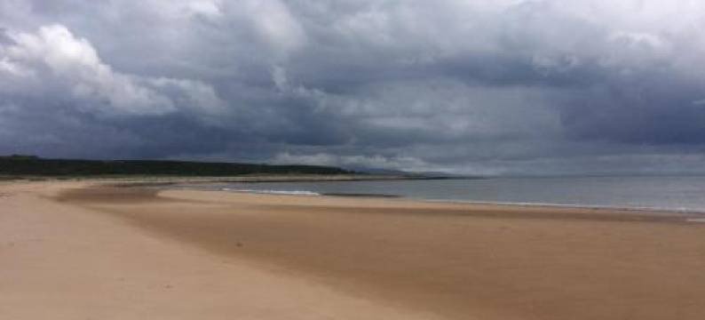 Clashmore Wood图片