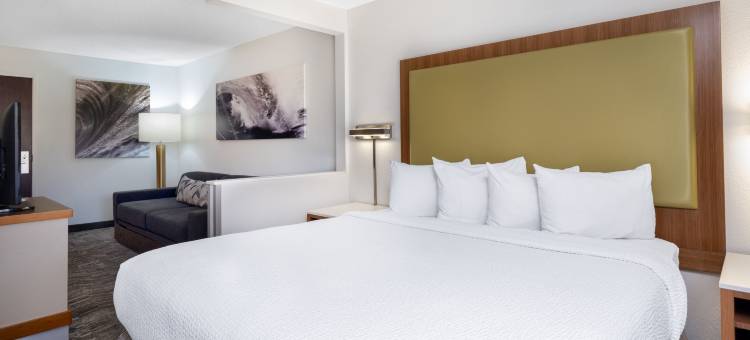 帕莎蒂娜阿卡迪亚万豪SpringHill酒店(SpringHill Suites Pasadena Arcadia)图片