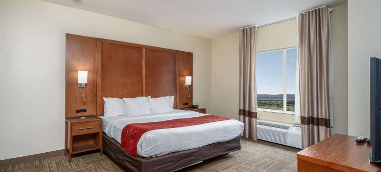 大学城舒适套房酒店(Comfort Suites University)图片