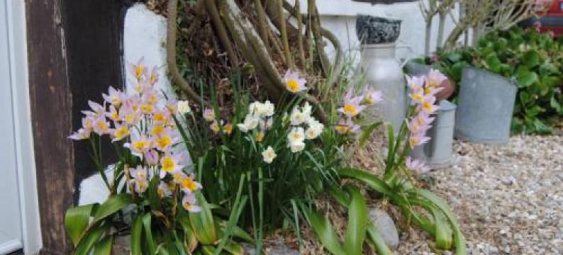 穆丽爱住宿加早餐旅馆(Chambre d'Hotes Murielle)图片