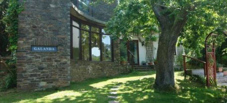 Galanda Treetops图片