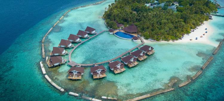 马尔代夫Ellaidhoo Cinnamon酒店-单程免费快艇接送(Ellaidhoo Maldives by Cinnamon - One-way FREE speedboat Transfers starting from 1 Oct 25)图片