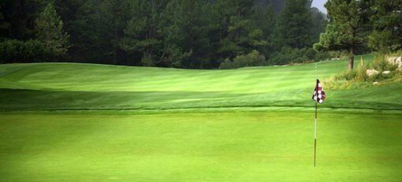 卡诺瓦酒店(Hotel Canova)图片