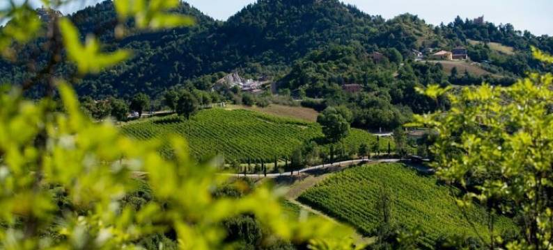 Tenuta Saiano Resort图片