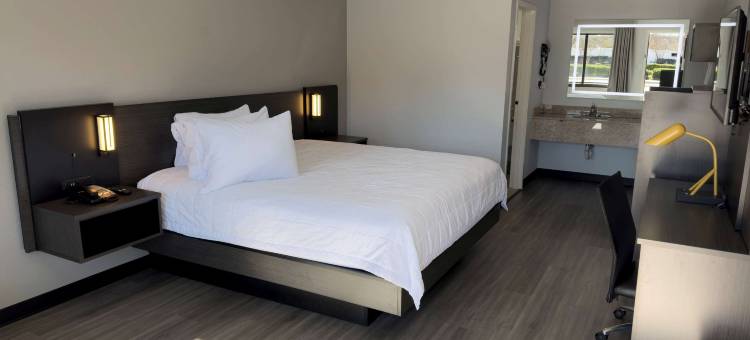 岩石丘呗盟酒店(Baymont by Wyndham Rock Hill)图片