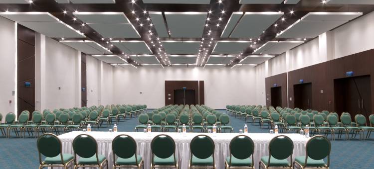 韦拉克鲁斯-博卡德尔里奥假日酒店(Holiday Inn Veracruz Boca Del Rio)图片