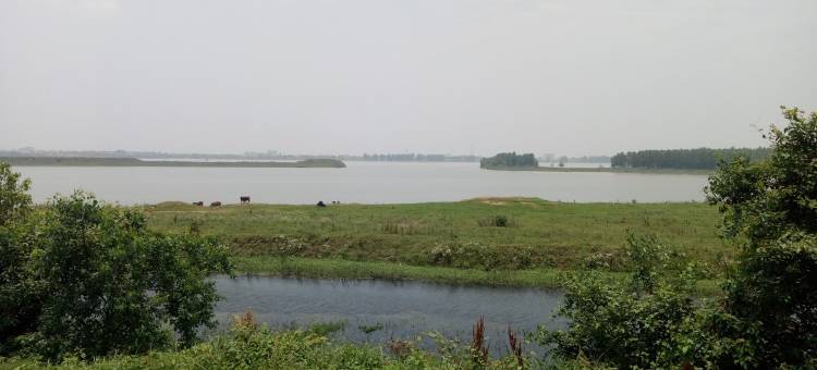 铜官窑游客的家公寓(湘江大道分店)图片