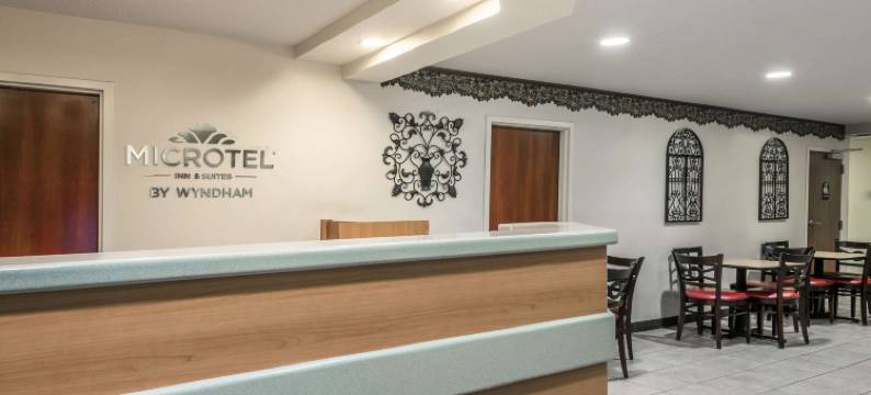 温德姆奥本恩的麦客达酒店(Microtel Inn & Suites by Wyndham Auburn)图片