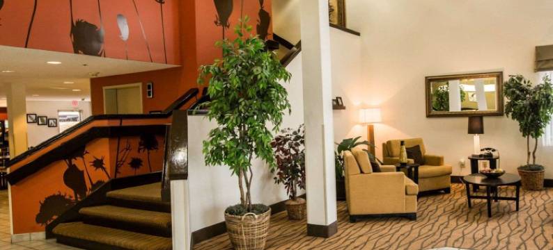 舒眠酒店佩勒姆橡树山(Sleep Inn Pelham Oak Mountain)图片