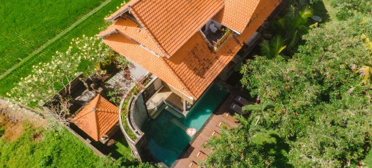 普拉马纳别墅乌布萨林套房酒店(Sarin Ubud Suites by Pramana Villas)图片