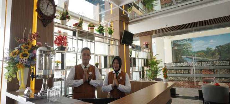 晴景酒店(Sonaview Hotel)图片