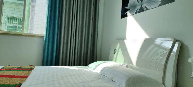 塔西平姨家公寓(中州东路分店)图片