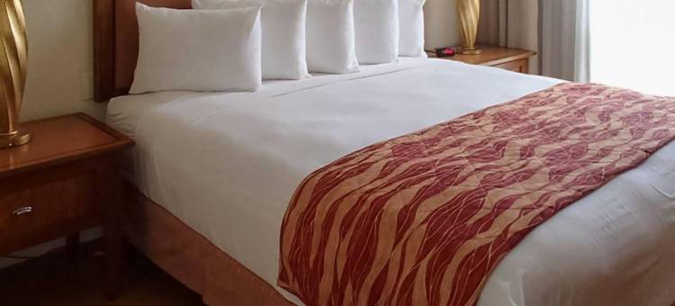 南迈阿密-科勒尔盖布尔斯罗德威旅馆(Rodeway Inn South Miami - Coral Gables)图片