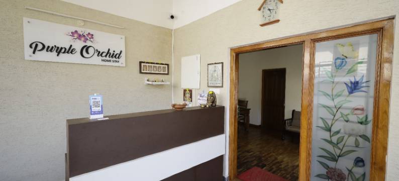 紫兰花埃科萨克罗体验酒店(Purple Orchid by Xacro Xperiences)图片