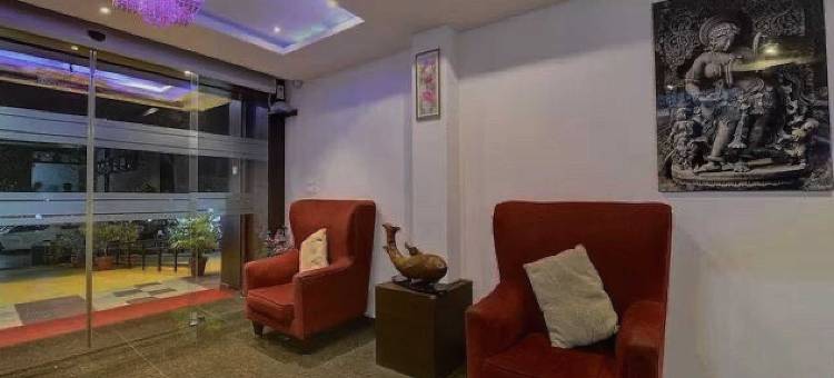 萨曼维国际酒店(Hotel Samanvi International)图片