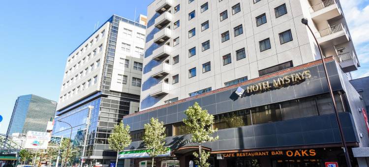 MYSTAYS御茶之水会议中心酒店(HOTEL MYSTAYS Ochanomizu Conference Center)图片