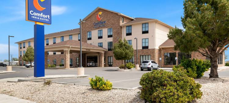 舒适套房酒店(Comfort Inn & Suites)图片