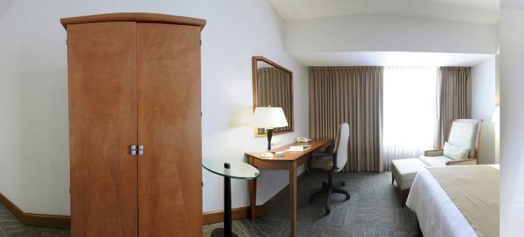 伊拉普阿托假日酒店(Holiday Inn Irapuato)图片