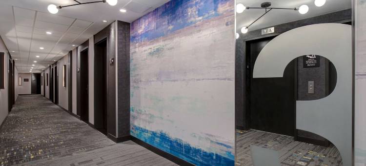 蒙特利尔中心希尔顿欢朋酒店(Hampton Inn by Hilton Montreal Downtown)图片