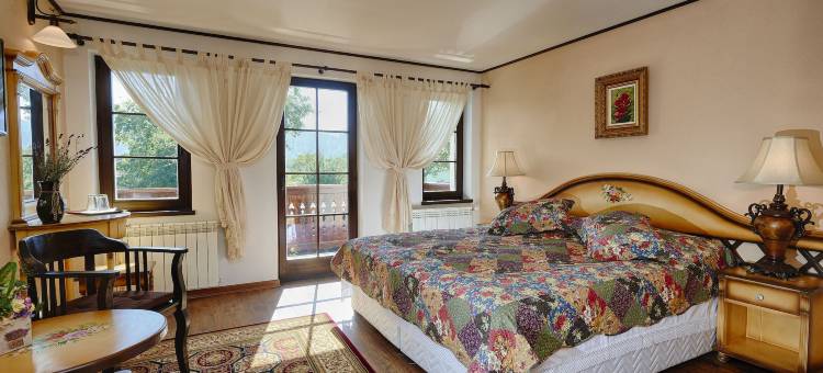 蔻娜奇奥安比恩特度假酒店(Conacul Ambient)图片