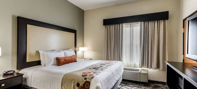 锡达福尔斯滑铁卢智选假日套房酒店(Holiday Inn Express & Suites Cedar Falls - Waterloo)图片