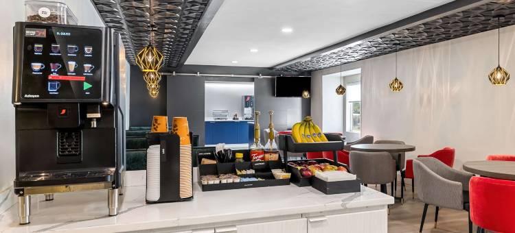 贝斯特韦斯特布法罗酒店及套房(Eva Hotel, BW Signature Collection)图片