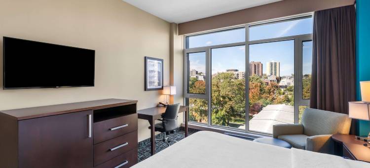 蒙特利尔贝斯特韦斯特优质酒店(Best Western Plus Hotel Montreal)图片