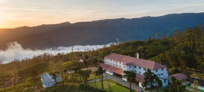 茶趣工坊 · 黛玛系列(Tea and Experience Factory - Thema Collection)图片