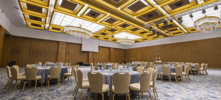 凯瑟里皇冠假日酒店(Crowne Plaza Kayseri)图片